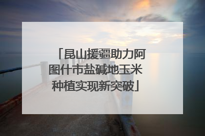 昆山援疆助力阿图什市盐碱地玉米种植实现新突破