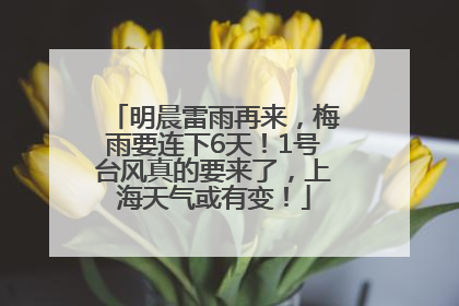 明晨雷雨再来，梅雨要连下6天！1号台风真的要来了，上海天气或有变！