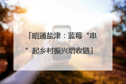 昭通盐津：蓝莓“串”起乡村振兴增收链