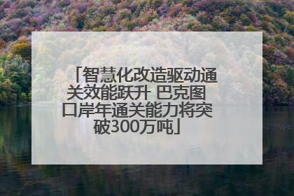 智慧化改造驱动通关效能跃升 巴克图口岸年通关能力将突破300万吨