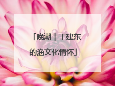 晚潮｜丁建东的渔文化情怀