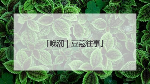 晚潮｜豆蔻往事