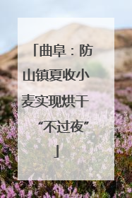 曲阜：防山镇夏收小麦实现烘干“不过夜”