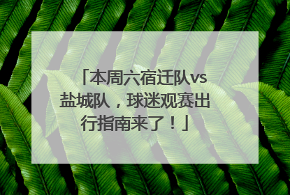 本周六宿迁队vs盐城队，球迷观赛出行指南来了！