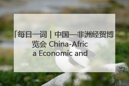 每日一词｜中国—非洲经贸博览会 China-Africa Economic and Trade Expo