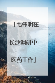 毛伟明在长沙调研中医药工作