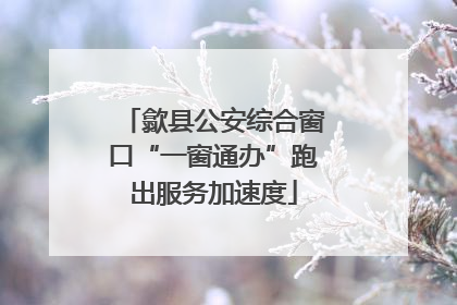 歙县公安综合窗口“一窗通办”跑出服务加速度