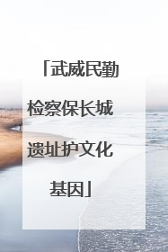武威民勤检察保长城遗址护文化基因
