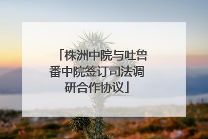 株洲中院与吐鲁番中院签订司法调研合作协议