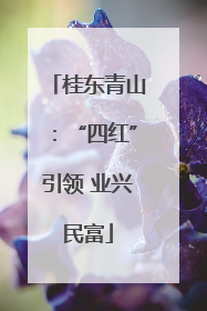 桂东青山：“四红”引领 业兴民富