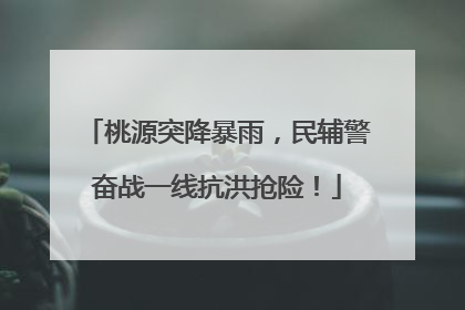 桃源突降暴雨，民辅警奋战一线抗洪抢险！