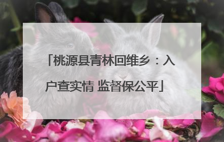 桃源县青林回维乡：入户查实情 监督保公平