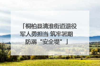 桐柏县清淮街道退役军人勇担当 筑牢暑期防溺“安全堤”