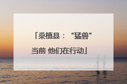 桑植县：“猛兽”当前 他们在行动