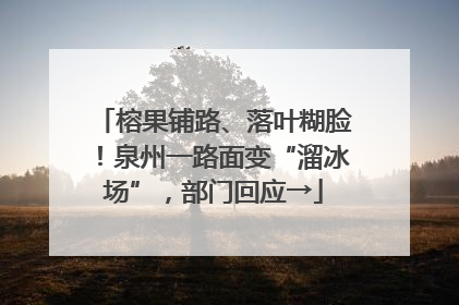 榕果铺路、落叶糊脸！泉州一路面变“溜冰场”，部门回应→