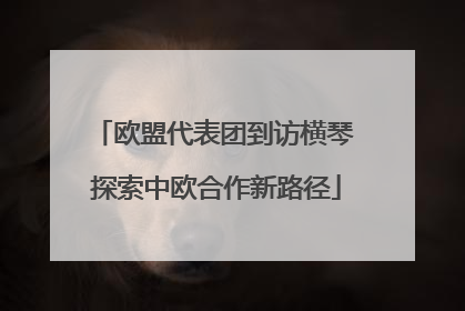 欧盟代表团到访横琴 探索中欧合作新路径