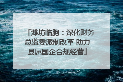 潍坊临朐：深化财务总监委派制改革 助力县属国企合规经营
