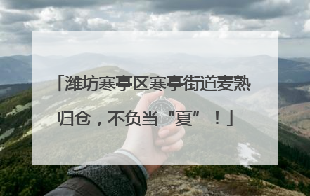 潍坊寒亭区寒亭街道麦熟归仓，不负当“夏”！