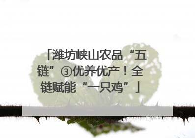 潍坊峡山农品“五链”③优养优产！全链赋能“一只鸡”