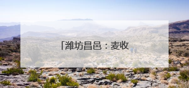 潍坊昌邑：麦收新事 尽显丰收