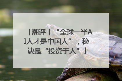 潮评丨“全球一半AI人才是中国人”，秘诀是“投资于人”