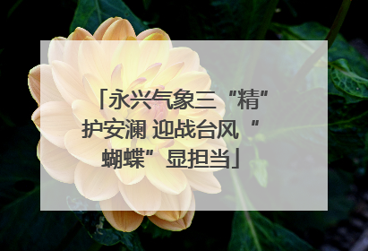 永兴气象三“精”护安澜 迎战台风“蝴蝶”显担当