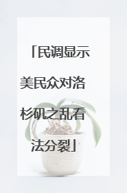 民调显示美民众对洛杉矶之乱看法分裂