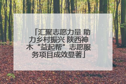 汇聚志愿力量 助力乡村振兴 陕西神木“益起帮”志愿服务项目成效显著