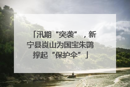 汛期“突袭”，新宁县崀山为国宝朱鹮撑起“保护伞”