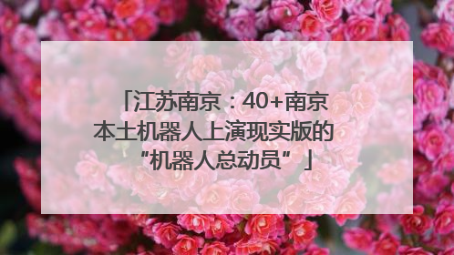 江苏南京：40+南京本土机器人上演现实版的“机器人总动员”