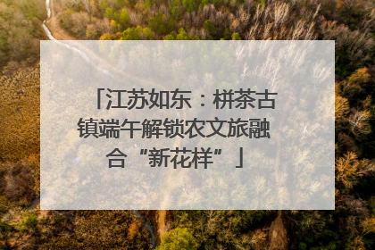 江苏如东：栟茶古镇端午解锁农文旅融合“新花样”