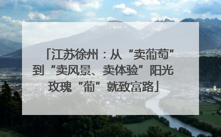 江苏徐州：从“卖葡萄”到“卖风景、卖体验”阳光玫瑰“葡”就致富路