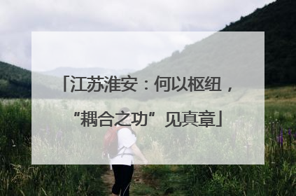 江苏淮安：何以枢纽，“耦合之功”见真章