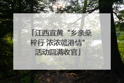 江西宜黄“乡亲桑梓行 浓浓赣港情”活动圆满收官