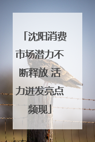 沈阳消费市场潜力不断释放 活力迸发亮点频现