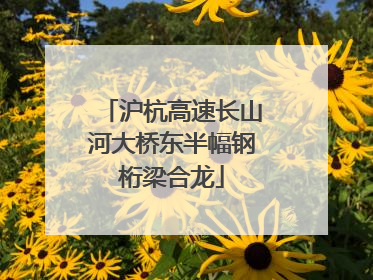 沪杭高速长山河大桥东半幅钢桁梁合龙