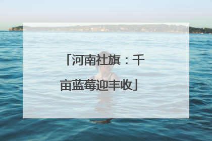河南社旗：千亩蓝莓迎丰收