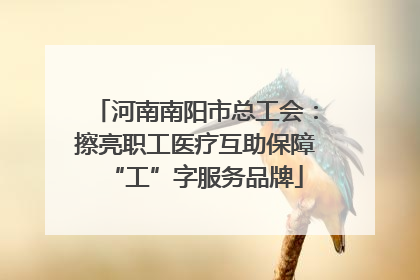 河南南阳市总工会：擦亮职工医疗互助保障“工”字服务品牌