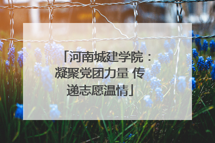 河南城建学院：凝聚党团力量 传递志愿温情