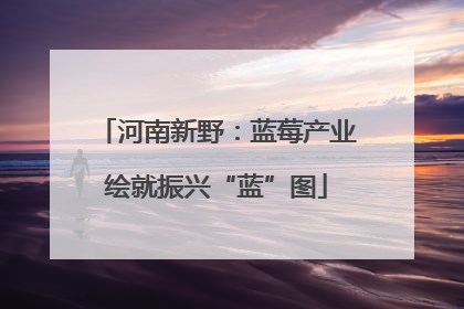 河南新野：蓝莓产业绘就振兴“蓝”图