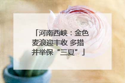 河南西峡：金色麦浪迎丰收 多措并举保“三夏”