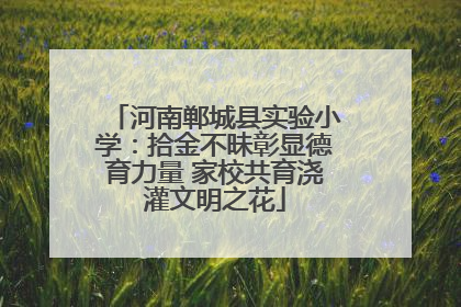 河南郸城县实验小学：拾金不昧彰显德育力量 家校共育浇灌文明之花