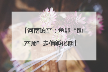 河南镇平：鱼卵“助产师”走俏孵化期