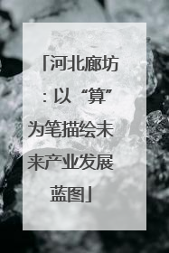 河北廊坊：以“算”为笔描绘未来产业发展蓝图