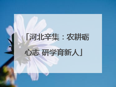 河北辛集：农耕砺心志 研学育新人