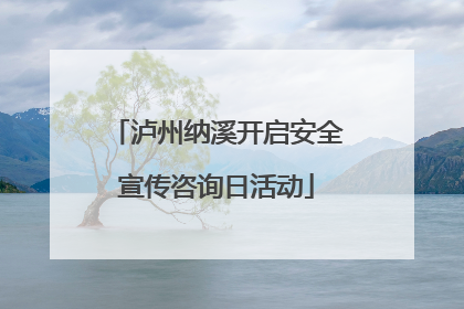 泸州纳溪开启安全宣传咨询日活动