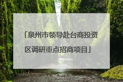 泉州市领导赴台商投资区调研重点招商项目
