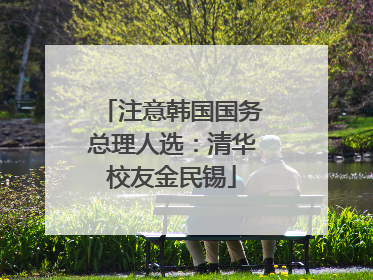 注意韩国国务总理人选：清华校友金民锡