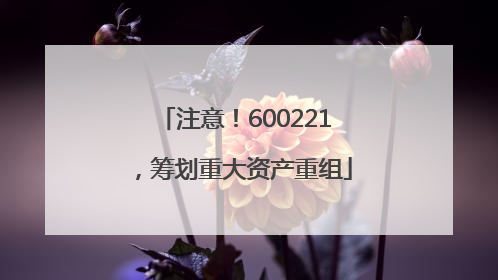 注意！600221，筹划重大资产重组