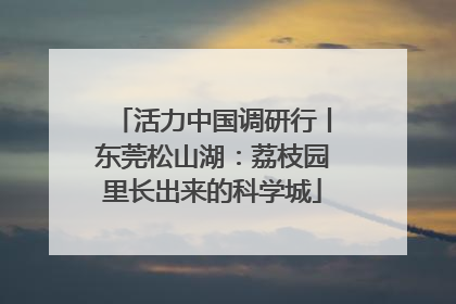 活力中国调研行丨东莞松山湖：荔枝园里长出来的科学城